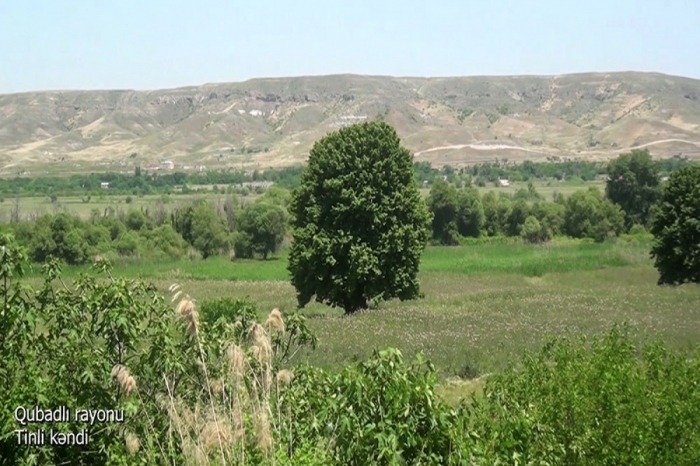  Գուբադլիի շրջանի Թինլի գյուղը.  ՏԵՍԱՆՅՈՒԹ  