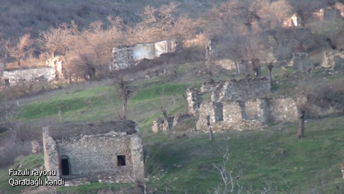  Ֆուզուլիի շրջանի Գարադագլի գյուղը.  ՏԵՍԱՆՅՈՒԹ  