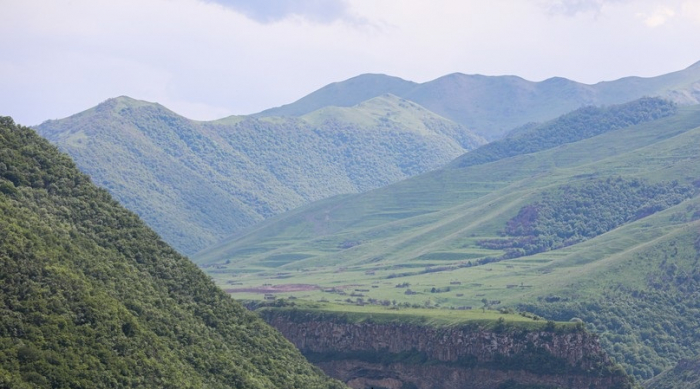  Պետական ​​գործակալություն.  Ազատագրված տարածքների հետ կապված 230 դիմումների վերաբերյալ եզրակացություններ են տրամադրվել