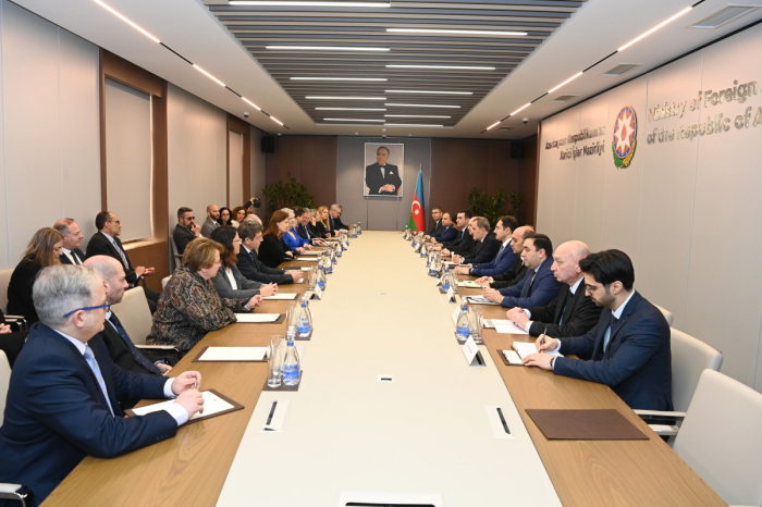  Ջեյհուն Բայրամովը հանդիպել է Իսրայելի ԱԳՆ քաղաքականության հարցերի տնօրենի հետ
 