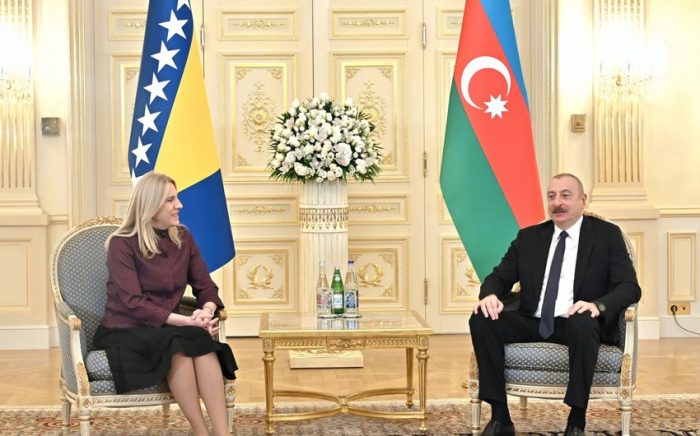  Ադրբեջանի նախագահը հանդիպել է Բոսնիա և Հերցեգովինայի նախագահության նախագահի հետ
 