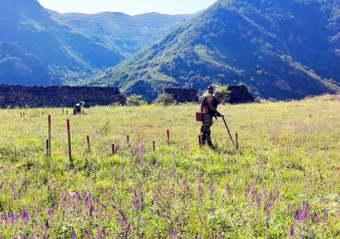  Ադրբեջանական բանակի սակրավորները ականներից մաքրել են տասնյակ հազարավոր հեկտարներ
 