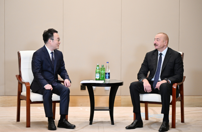   Ի.Ալիևը հանդիպել է Powerchina Group-ի գործադիր փոխնախագահի հետ
  
