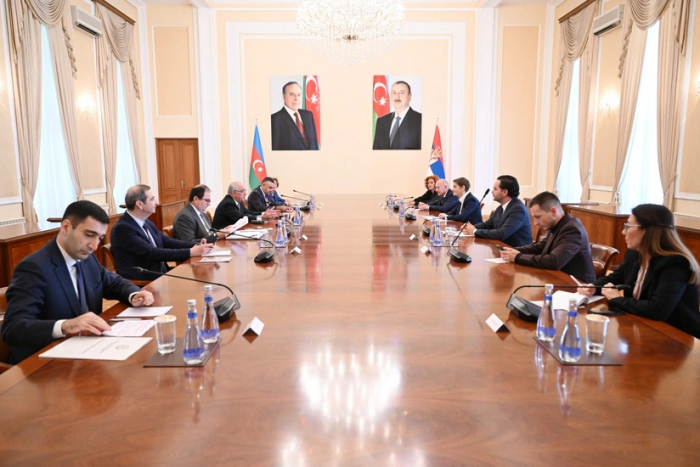  Ալի Ասադովը հանդիպել է Անա Բռնաբիչի հետ
 