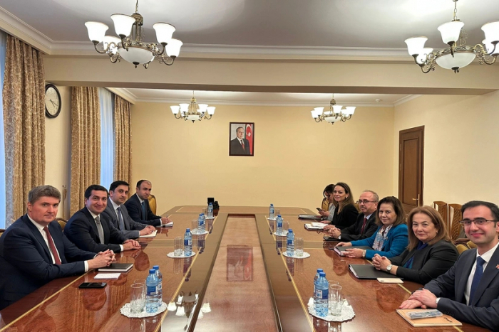 Հիքմեթ Հաջիևը հանդիպել է Այշե Բերիս Էքինջիի հետ