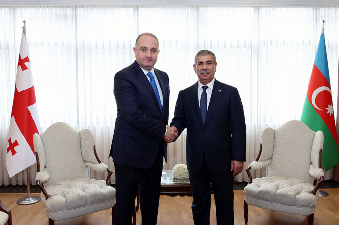   Զաքիր Հասանովը Անկարայում հանդիպել է իր վրացի գործընկերոջ հետ
  