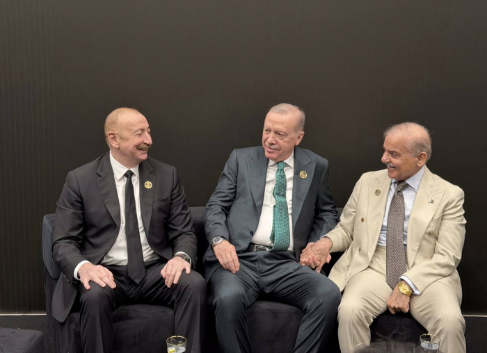   Իլհամ Ալիևը հանդիպել է Էրդողանի հետ
  